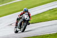 PJ-Motorsport-Photography-2020;anglesey;brands-hatch;cadwell-park;croft;donington-park;enduro-digital-images;event-digital-images;eventdigitalimages;mallory;no-limits;oulton-park;peter-wileman-photography;racing-digital-images;silverstone;snetterton;trackday-digital-images;trackday-photos;vmcc-banbury-run;welsh-2-day-enduro